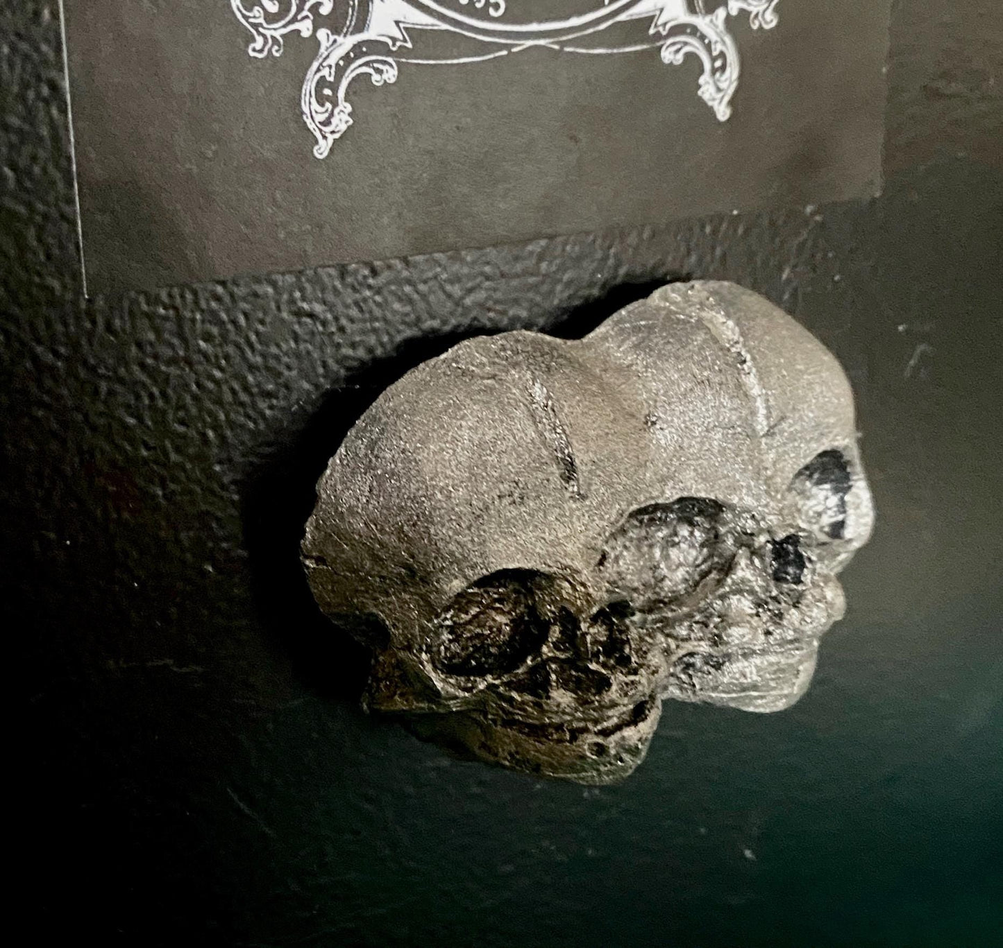 Conjoined Twins Skull Magnet, Hand Painted Resin Sculpture | Gothic Fantasy Decor | Conjoined Skull Magnet for Fantasy and Gothic Decor