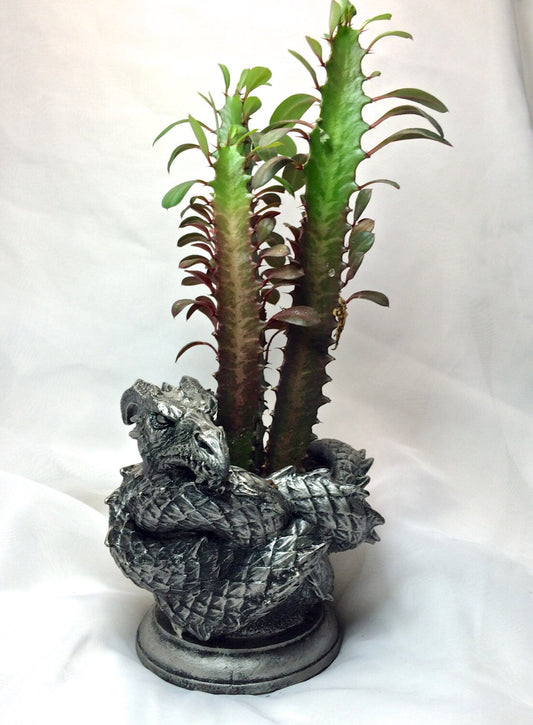 Coiled Dragon Planter, Pewter Finish | Unique Mythic Creature Home Decor | Resin Sculpture Snake Vase, Fantasy Art and Gothic Home Decor