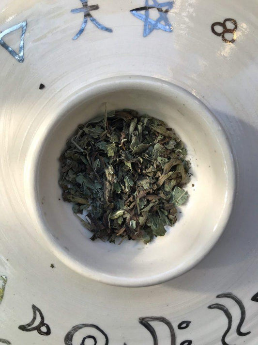 Basil Leaf (Ocimum basilicum) - Witching Herbs