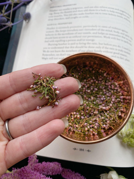 Heather Flowers (calluna vulgaris)- Witching Flowers
