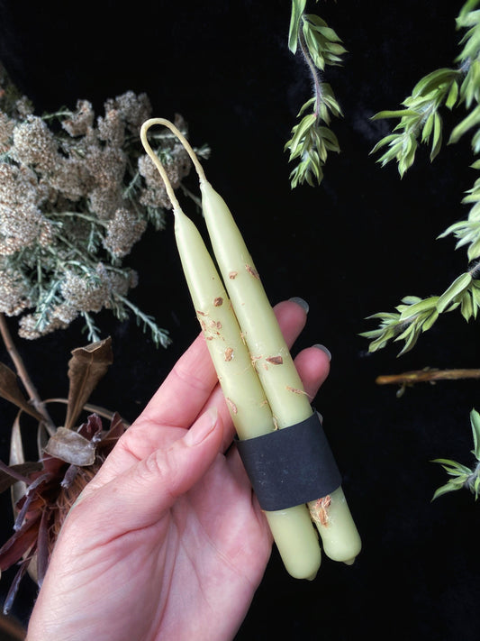 Bayberry Witches Wands - Hand Dipped, Taper Beeswax & Bayberry Wax Prosperity (6" Chime) Candles