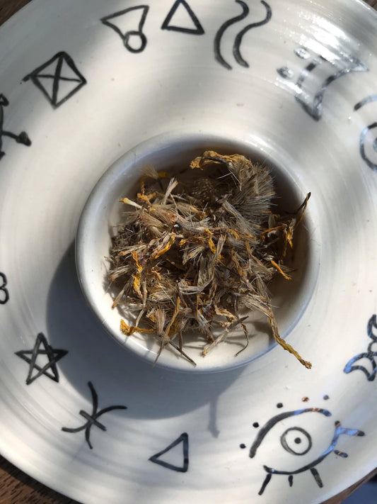 Arnica (Arnica montana) - Witching Flowers